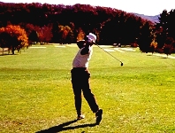 w09.jpg (34689 bytes)