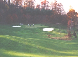 w11.jpg (47141 bytes)